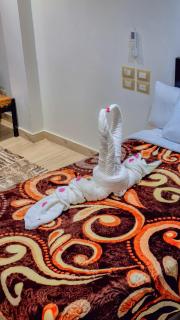 Summer Land Hotel - Abu Simbel - 5