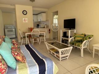 AnnJenn Apartments - Christ Church - 1