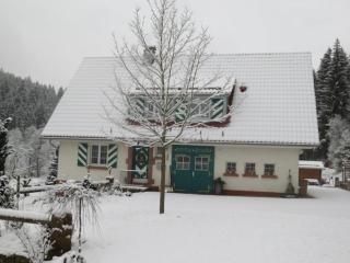 Holiday home Tauchert - Schönmünzach - 3