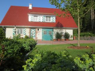 Holiday home Tauchert - Schönmünzach - 5