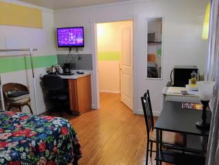 Golden Sunflower's Apt G - Lawton - 8