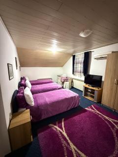 Guesthouse Prenociste Faraon - Pljevlja - 6