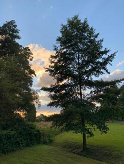 Ferienwohnung am Waldrand mit großem Garten - 9