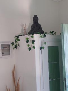 Vitamin sea Studio - 7