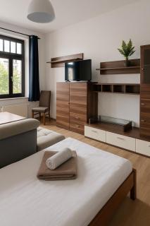 Großzügige Ferienwohnung mit Balkon 2 Parkplätze Badewanne - Chemnitz - 9