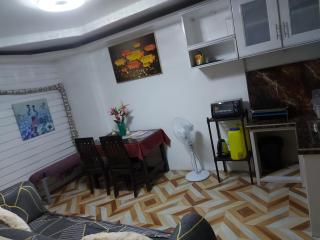 Huge apartment transient - Calapan - 4