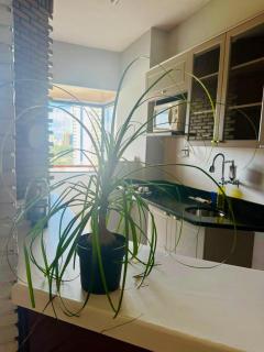 Flat House Salvador - 3