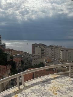 Amazing see view with big balcony near Grimaldi and direct lift to Monaco close to Casino and Larvotto Parking available u - 8