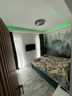 HexHouse Luxury - Floreşti - 9
