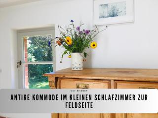 Gut Bisdorf Eixen - Mache Urlaub und werde Gutshausretter - Eixen - 4