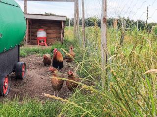 10 person holiday home in Spøttrup - 6