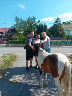 Seosko domaćinstvo STAREVINA - Nikšić - 8