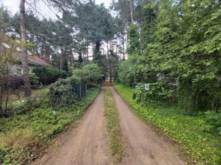 Tuczno Dom w lesie - - 4