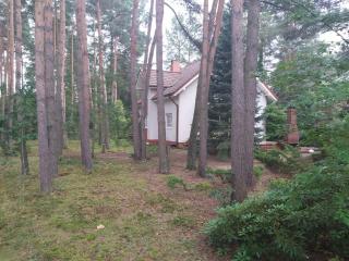 Tuczno Dom w lesie - - 6