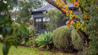 Lomond Cottage - Balnarring - 0