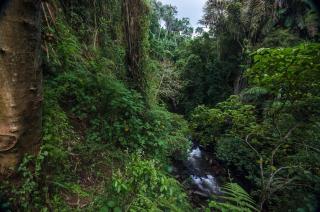 The Kayon Valley Resort - 6