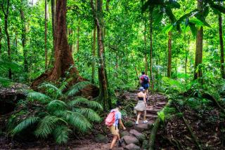 YHA Cairns Central - Cairns - 6