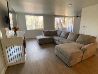 The Modern Nest - 9