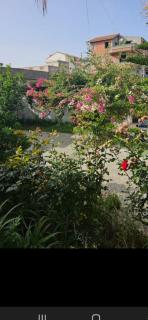 sweet home - 3
