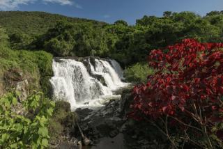 Pousada Sâo Luis - Poços de Caldas - 9