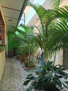 La Casa del Sol - Tarapoto - 8