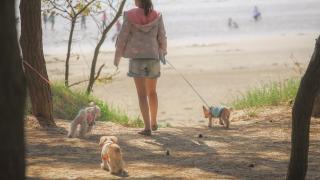 Varadero Pension Taean - 6