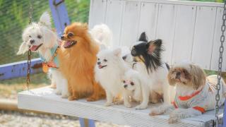 Varadero Pension Taean - 3