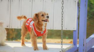 Varadero Pension Taean - 1