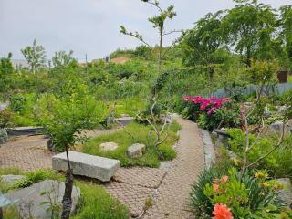 Gangeung Dowon Pension - 6