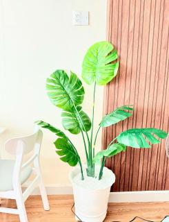 happy home - Ho Chi Minh City - 1