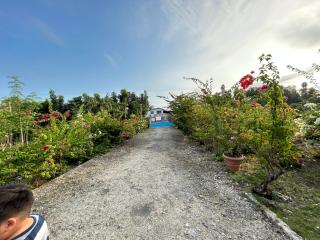 Pableo's Pension House in Moalboal - Moalboal - 8