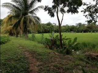 Mantra camping hostel - Tarapoto - 7