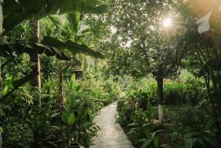 Bliss Tam Coc Resort Ninh Binh - 7
