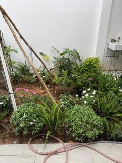 homestay halona - Phú Quốc - 1