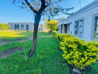 Hyenas Park - 1