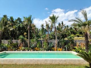 Villa Cactus is far from home but like your home Villa Cactus 3 BR isn't just a tropical villa in the heart of a coconut grove it's a feeling Next door Villa Sungai also offers 2 BR and 1 Bungalow Ability to accommodate 12 people - 9