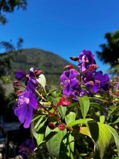 Hotel Nido de Pájaro - 4