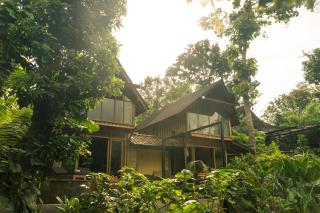 Lotus Forest Houses - 8