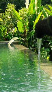 Lotus Forest Houses - 6