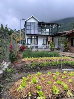 Ngoại Ca Homestay - 5