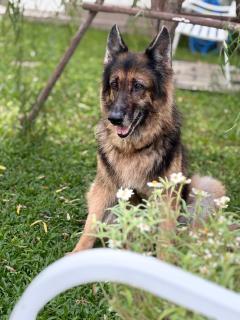 Na KlongMuang A2 'ณ คลองเมือง' - 2