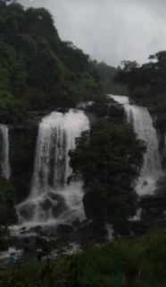 Mount Mist Villa - Munnar - 9