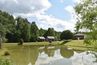 Laurel Lake Cabins - 7