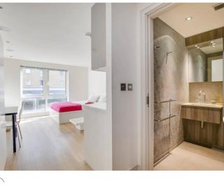 luxury flat in chelsea - 4