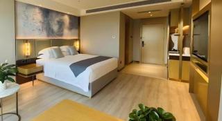 Green Tree Inn Tianjin Dongli District Airport Free Trade Zone - 8
