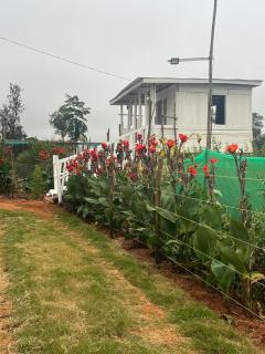 Elmadel Coffee Gardens Wooden One Bed Cottage - 0