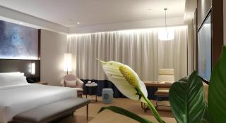 Green Tree Inn Xuzhou Tongshan Wanda Plaza Yuquanhe Metro Station - 1