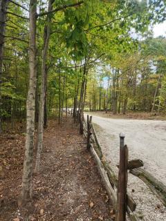 Forest Oasis Camping Resort - Wasaga Beach - 3