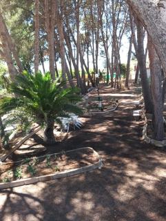 Casica de Hellín - 7