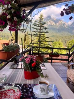 Apartament Casa cu Flori de Munte - Buşteni - 7